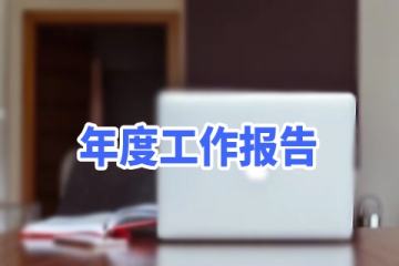 2022年年度工作报告