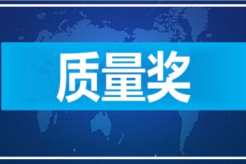 政府质量奖申报认定