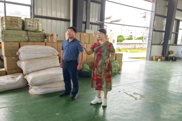 【两强一增之科技强农】望江县：“三区”人才服务助力林下经济产业发展